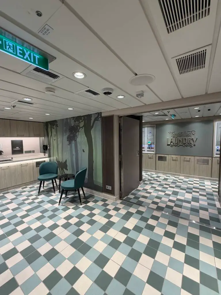 Disney Cruise Laundry